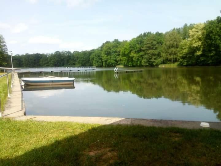 Pension Waldbad Dommitzsch Екстер'єр фото