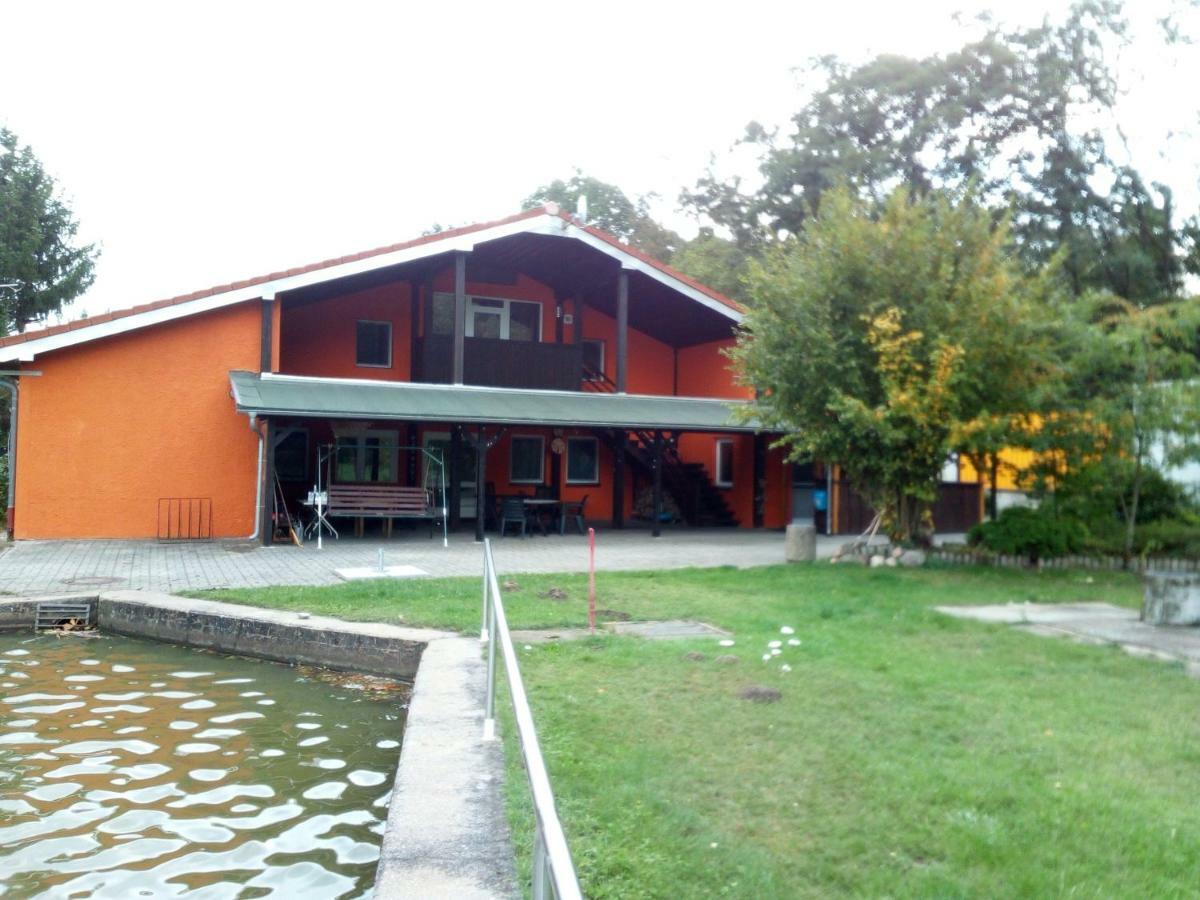 Pension Waldbad Dommitzsch Екстер'єр фото